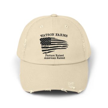 Americana Distressed Cap