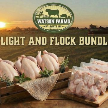 Flight and Flock Bundle