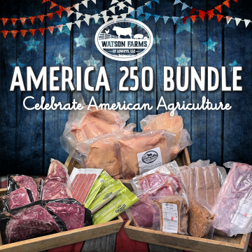 America 250 Bundle